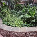 효자종로약국 | 7월달 일을 내가 어 떻 게 기억하냐고