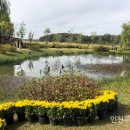 연희자연마당 공원 이미지