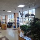 반지민원센터 이미지