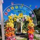 오천제일유치원 이미지