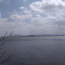 평택호공인중개사사무소 이미지