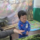 쥬니멀 Daum카페