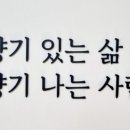 아로마네이쳐 이미지