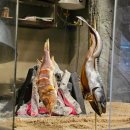 모닥불구이 이미지