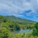 자연-이미지 이미지