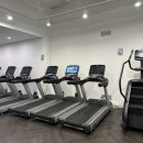 디스이즈 피트니스 이미지