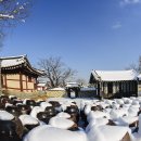 고향 Daum카페
