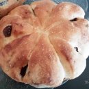 베이커리(Bakery) 이미지