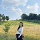 면천 자개리 유적 | 당진 여행 지원금으로 여행하기! 최대 8만원 페이백 제출서류 다운로드 o