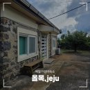 올목, jeju | 애월가성비숙소 아기와 함께 다녀온 &#39;올목&#39; 밖거리