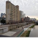 실크로드부동산중개 | 서금사a구역 현장 둘러보기 재개발 재건축 매물접수 받습니다