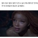 인어공주 미스캐스팅 사실상 그냥 외모 때문인거 같은 달글 이미지