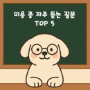 멍멍나래 이미지