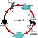 허한의원 이미지