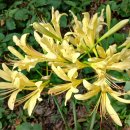 강미정 기자회견 이후 조국과 최강욱이 표적이 된 진짜 이유ㄷㄷ(신00) 이미지