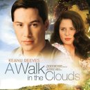 구름속의산책 이미지