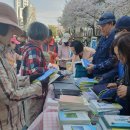 4월5일(금)불광천벚꽃축제 이미지