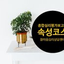 종합심리평가작성법 속성코스 및 심리검사.심리상담 슈퍼비젼 안내입니다. 이미지