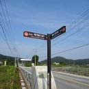 원주굽이길 2코스 700년노송길 이미지