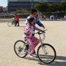 양지초등학교2 이미지