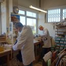 라스트 라인 (LAST LINE) 이미지