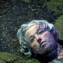 신디농장 이미지