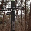 마금산약국 이미지