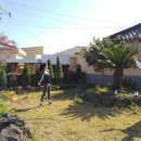 명월성 돌담집 이미지