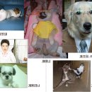 웃으면복이와요 이미지