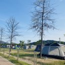 황산공원 캠핑장 오토사이트 이미지