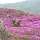 겸백초교 이미지