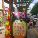 똥강아지 애견샵 이미지