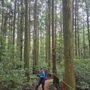 [제주여행4일차] 한라산둘레길5~6구간 (수악길~시험림길13km)출입(5/16~10/31 이미지