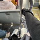 사직중앙로 | 여행 DAY1 보수동 책방 골목, 부평깡통시장, 국제시장, 자갈치시장, 비프광장, 사직야구장, 광안리해수욕장