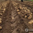 주식회사 통일 이미지