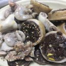 군계암뽕순대 이미지