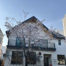 신창동 행정복지센터 공감까페 | 신창동 휘게 HYGGE 소금빵 롤티슈 브레드 추천