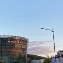 브라운도트 엑스코점 이미지