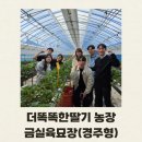 밀양시농업기술센터 | [청년CEO과정 주차]밀양농업기술센터,더똑똑한딸기,금실딸기육묘장