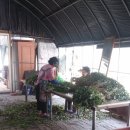 영진농장 이미지