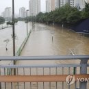 온천천일대6 이미지