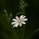 세이에너지 이미지