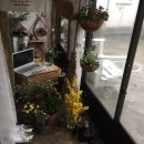 시골상회 이미지