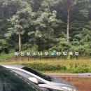 고성 울산바위, 백촌막국수, 김일성별장, 든해버거, 히솝카페비치빈스, 속초 모녀가리비, 중앙시장 맛집)