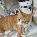 학익동물병원 이미지