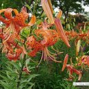 월촌농장 이미지