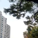 세탁소가는길 이미지