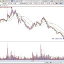 2017년 2월 5일 다음주 공략 종목
