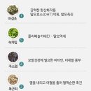 앤썸테라피