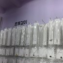 미스엘라 이미지